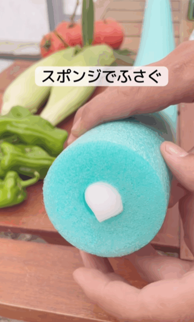 片側をスポンジで塞いで…（@sekky_luck_gardenさんより提供）