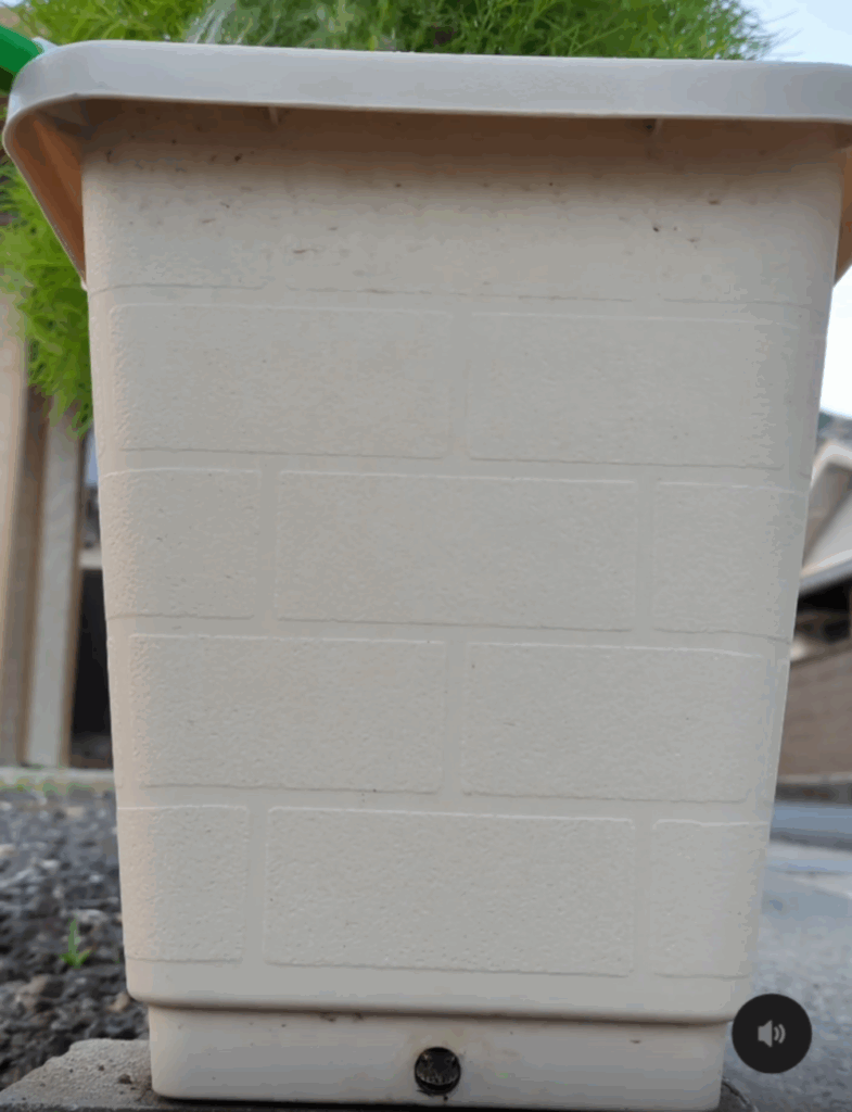 別の日にもいた（@hisayoshi1973より提供）