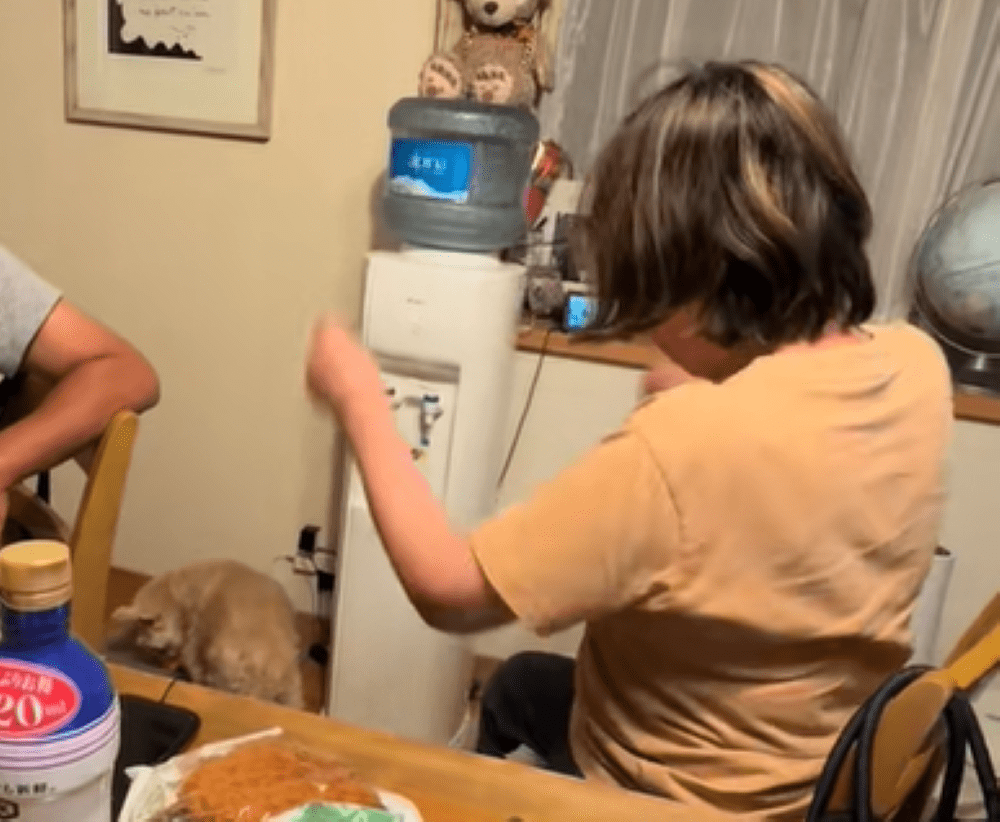 ご飯を食べるあんずちゃん②（＠mrinchanhappyさんより提供）