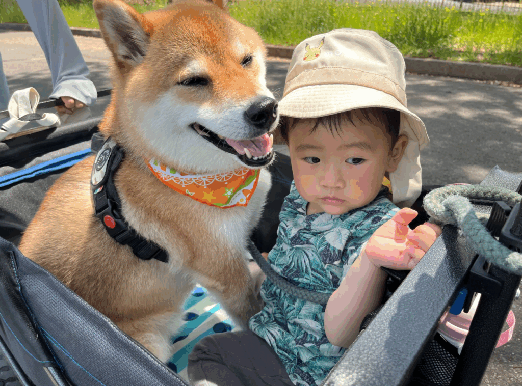 【実際の写真5枚】　ママが見た光景