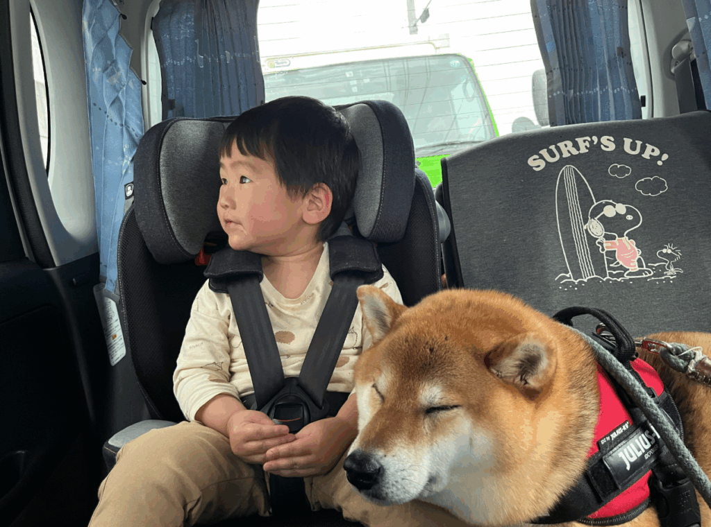 よもぎくんと息子さん②（＠yomogi_shibainuさんより提供）