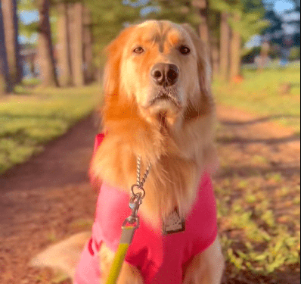 【実際の写真】振り返った結果