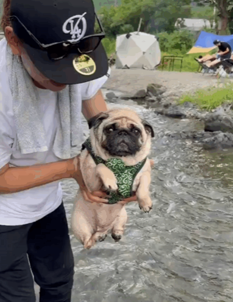 初めての水遊びに…（@Umechanpagさんより提供）