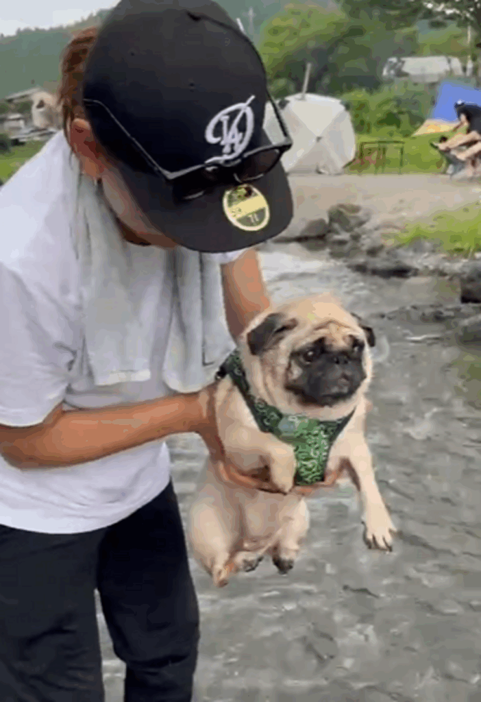 前足をカキカキしてイメージトレーニング（@Umechanpagさんより提供）