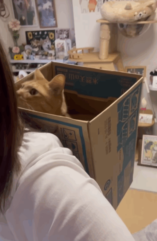 おんぶされるちまきくん（＠espritdelangeさんより提供）