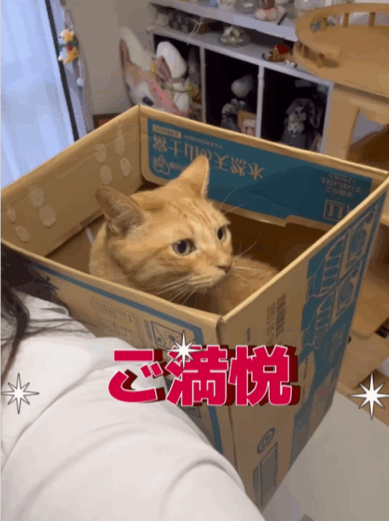 ご満悦の様子（＠espritdelangeさんより提供）