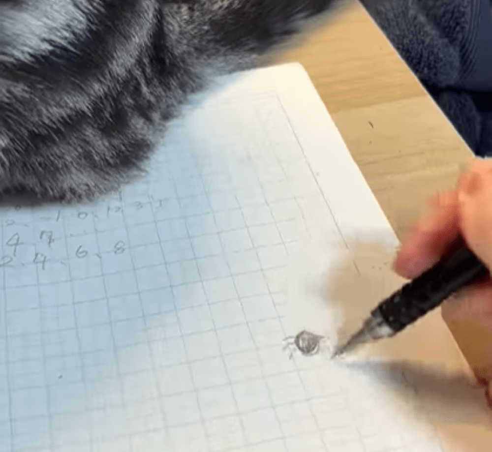 絵の蜘蛛（＠nenene___koさんより提供）