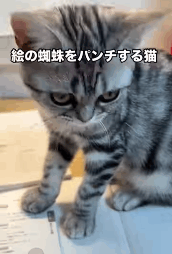 タルトちゃん（＠nenene___koさんより提供）