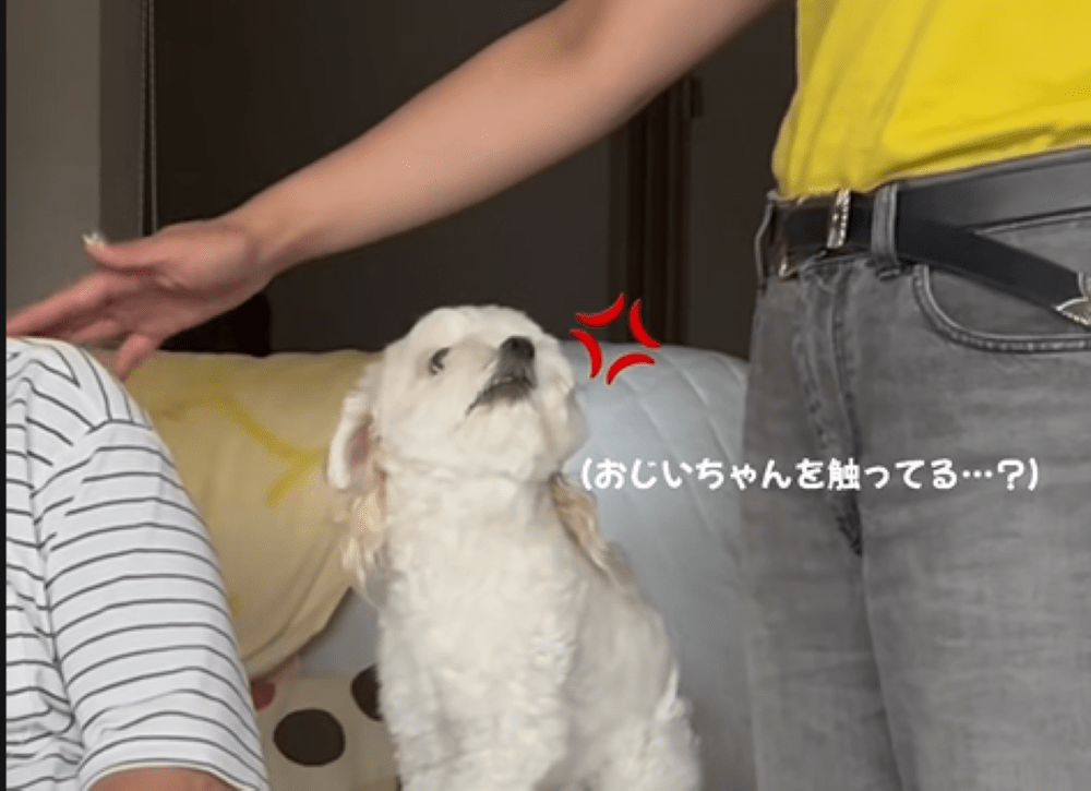 怒る金時くん④（＠__official71さんより提供）