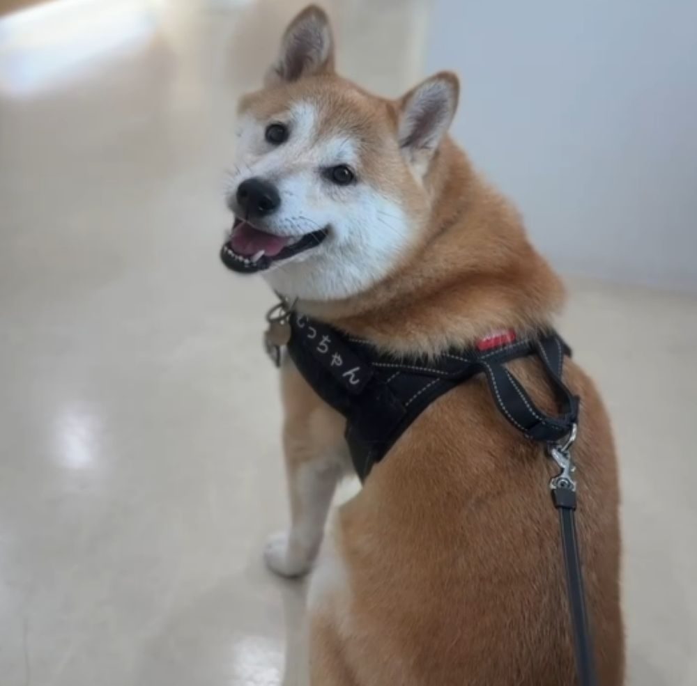 笑顔になりました（＠mutsuki0205さんより提供）