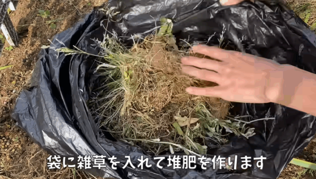 【実際の写真7枚】　雑草のその後の様子