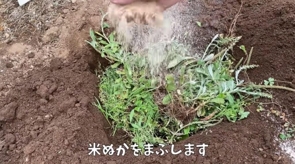 米ぬかをまぶします（＠noringoさんより提供）