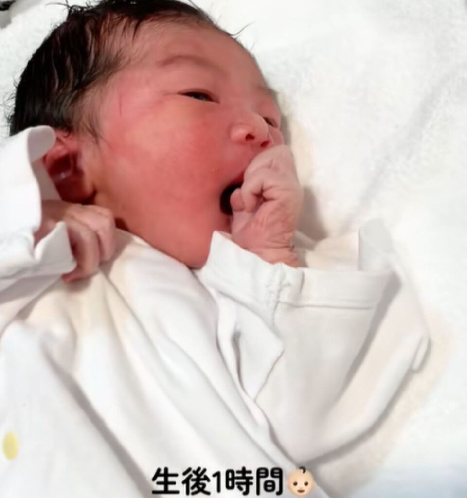 【実際の写真5枚】　成長した後の様子