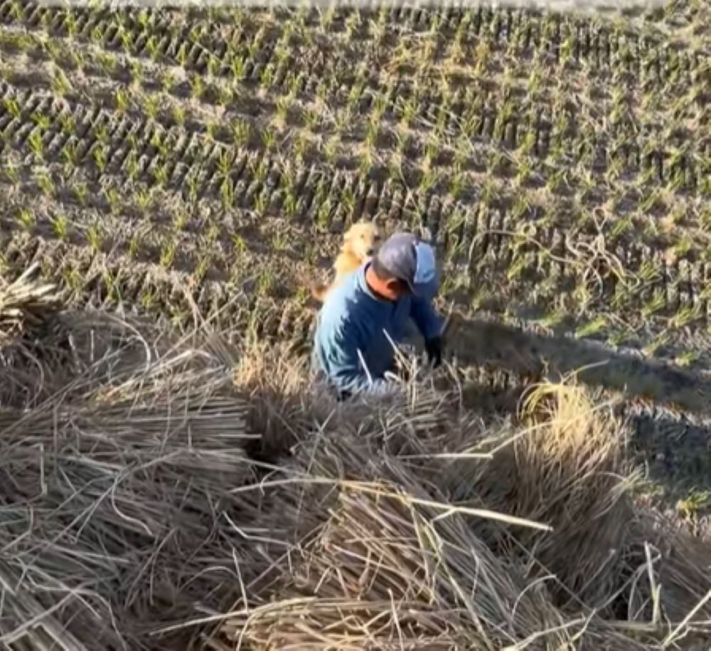 【実際の写真5枚】　投稿者さんが見た光景