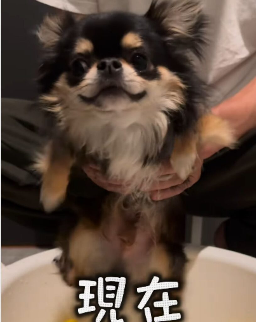 現在の様子（＠yomogi5.5さんより提供）