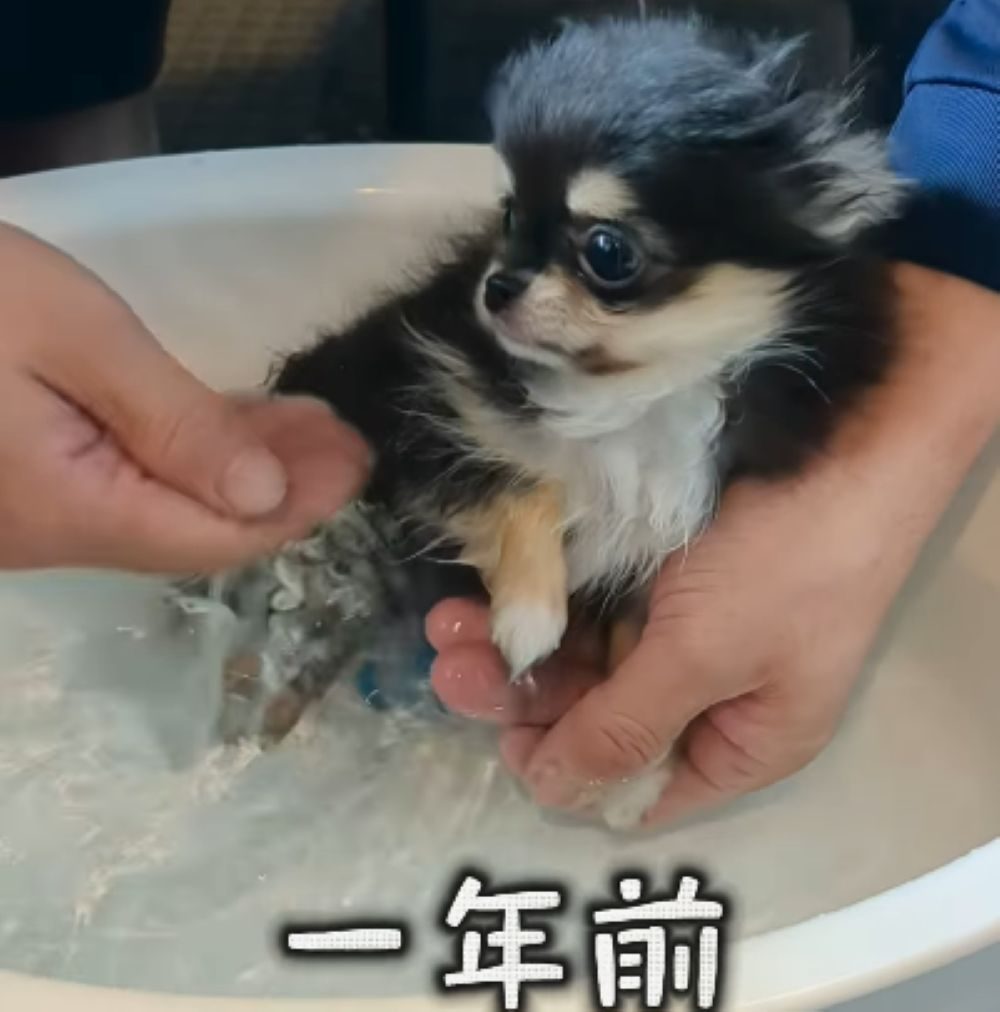 【実際の写真6枚】　１年後の様子