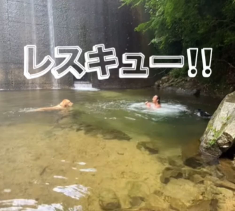 【実際の写真】飛び込んだ瞬間の行動