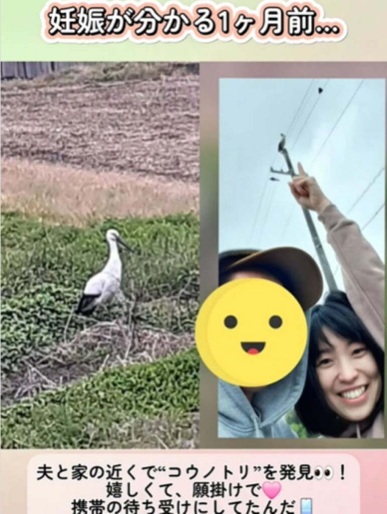 【実際の写真】現在の様子