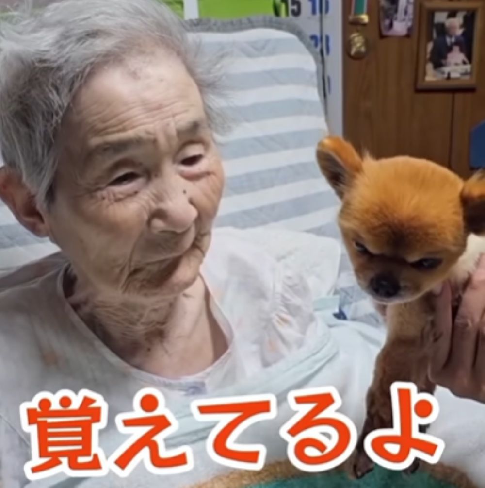 「覚えてるよ」とおばあちゃん（＠sukekaku.famさんより提供）