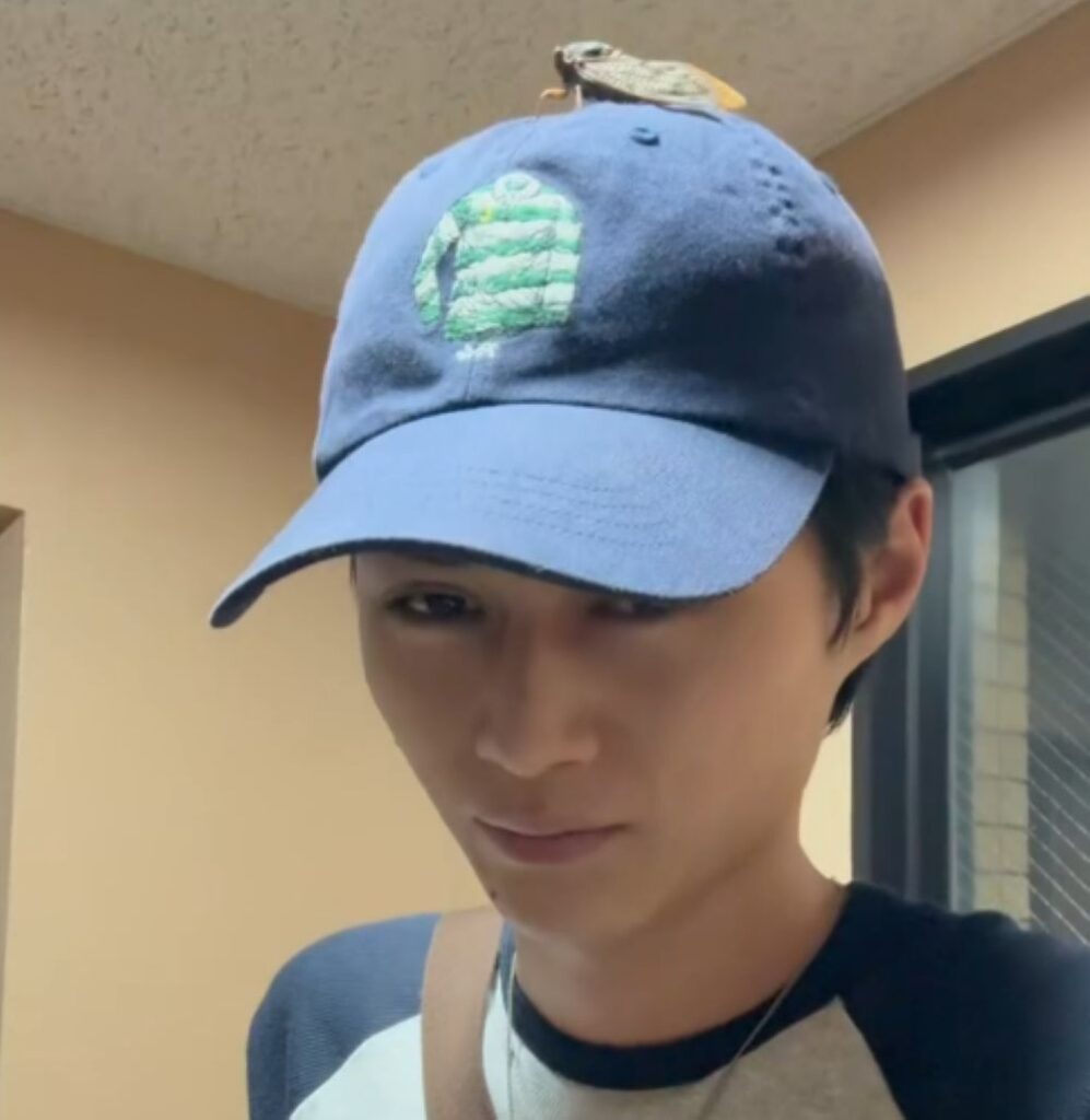 【実際の写真】　頭上の様子