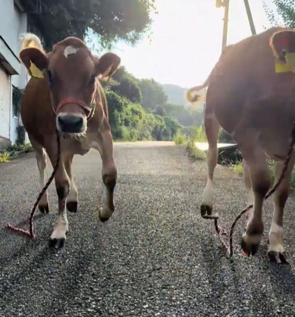 目の前でしっかりとまります（＠aerofarm_5865さんより提供）