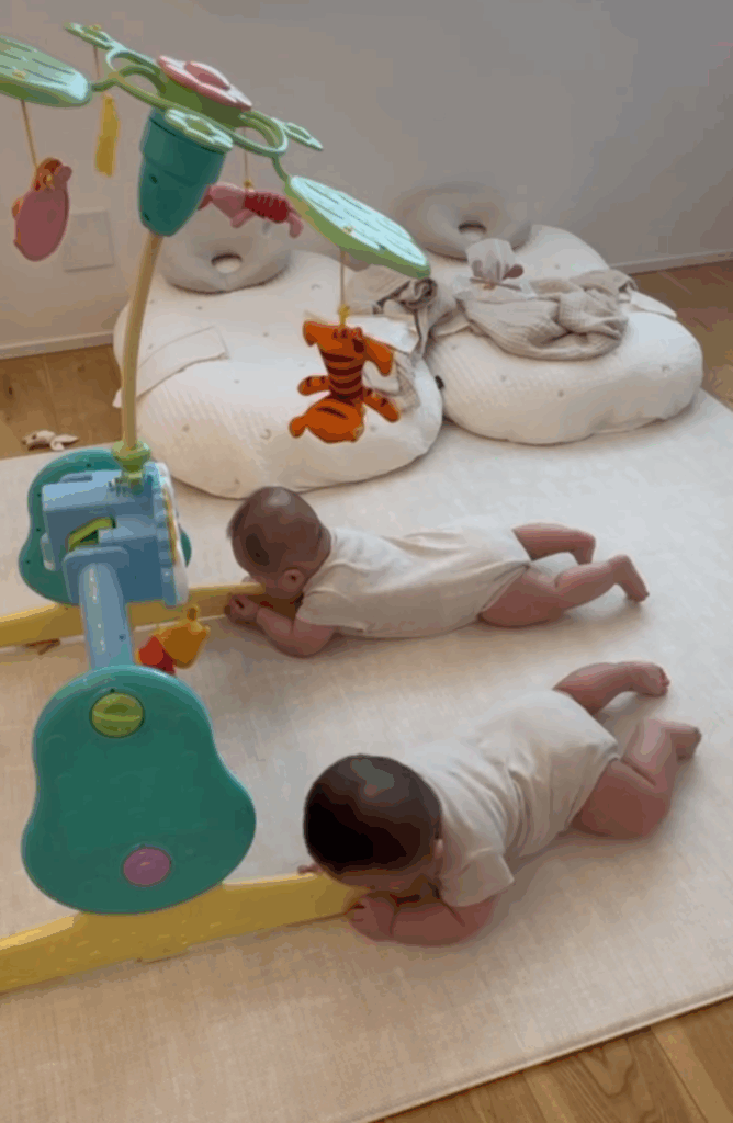 フロアメリーの足をハムハム
（＠ochacha.twinsさんより提供）