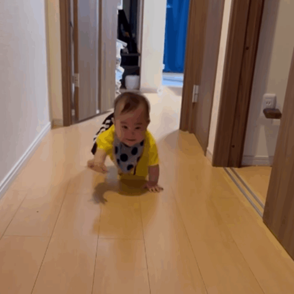 猪突猛進！（@aochill_babyさんより提供）