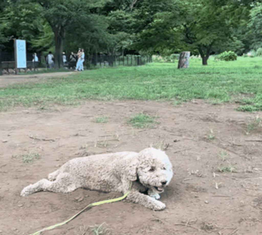 あー、楽しかった♡（＠maiko_manjiさんより提供）