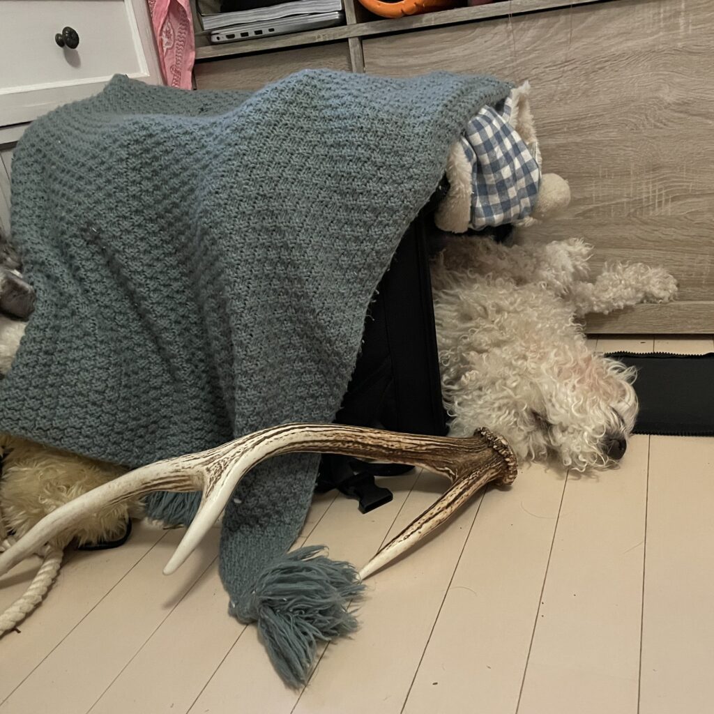 トナカイにも変身したよ（＠maiko_manjiさんより提供）