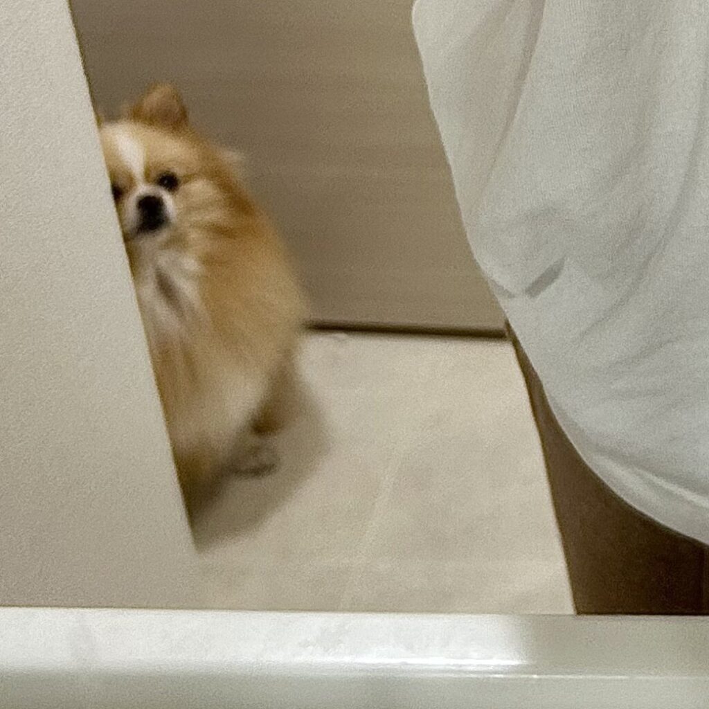 【実際の写真】視線の先