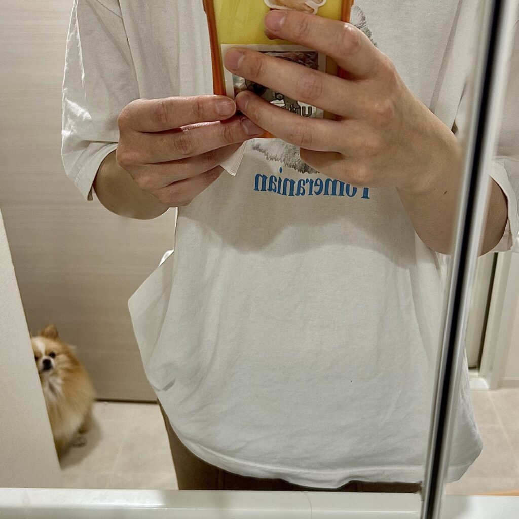 ボクをおいてお出かけする気？（@pomepomePicardyさんより提供）