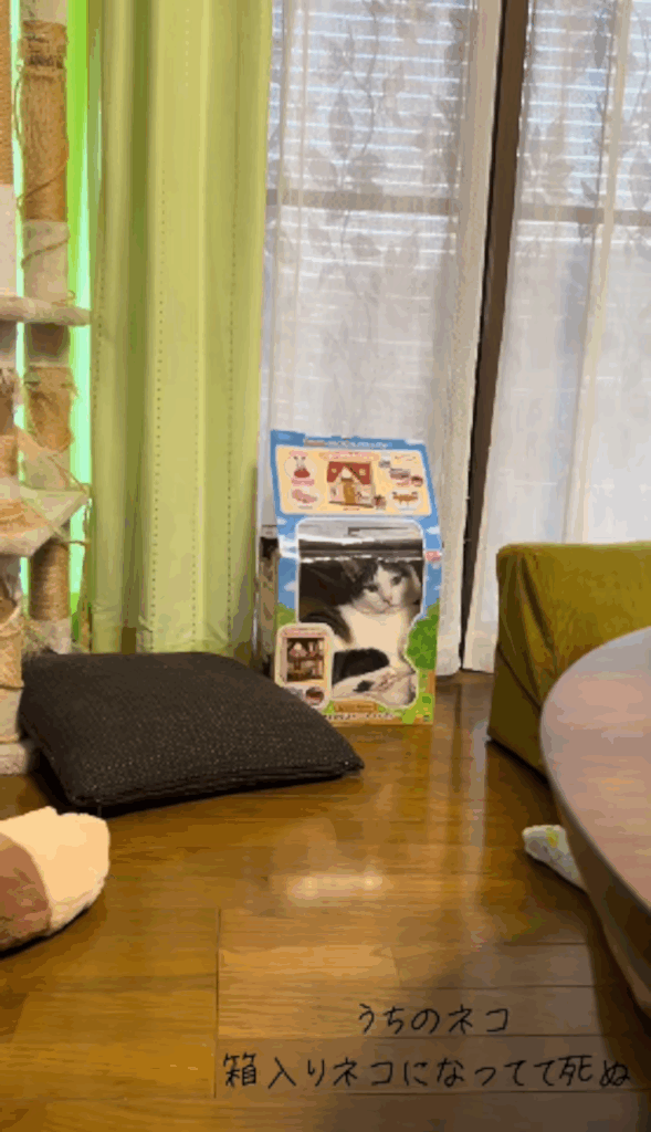 ドールハウスシリーズの箱に収まるヒロシくん：引き（＠kanatt_crew0213さんより提供）