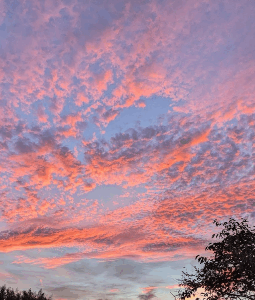 その他の写真①：夕空（＠clona7marojyuさんより提供）