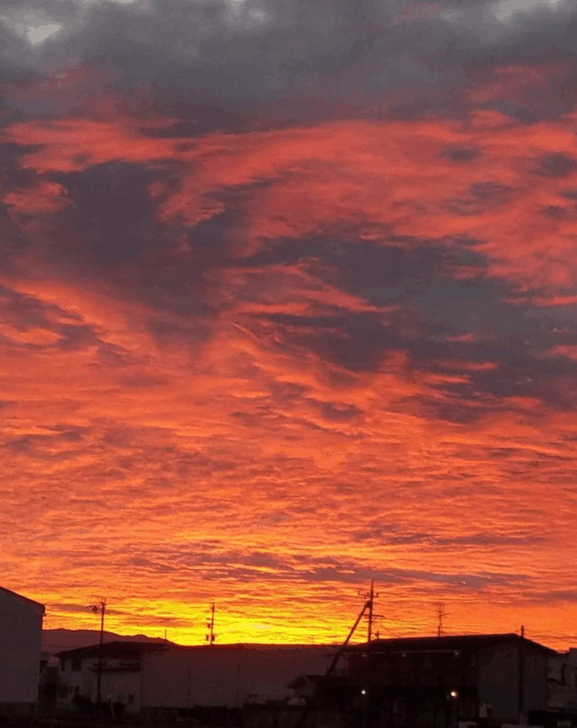 その他の写真②：夕空（＠clona7marojyuさんより提供）