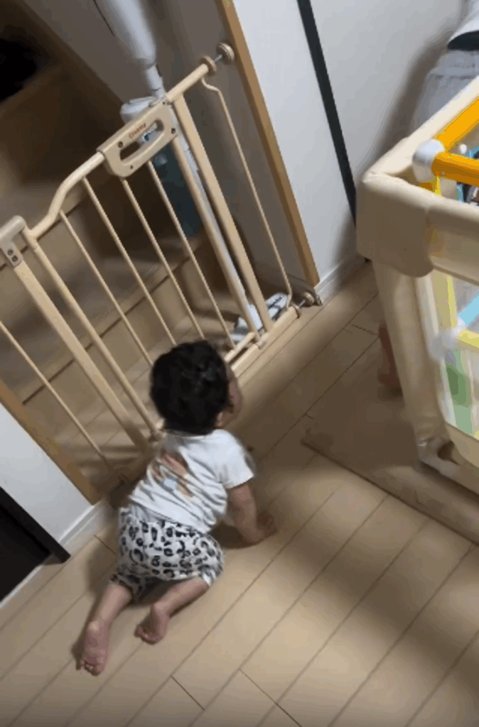 【実際の写真】　ママが見た光景