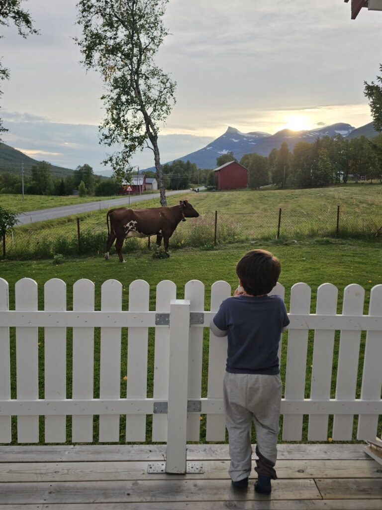【実際の写真】　母が見た光景