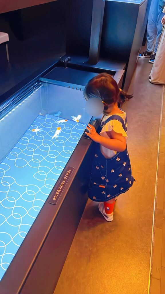 水族館で金魚に釘付けの娘さん②（＠morico_moさんより提供）