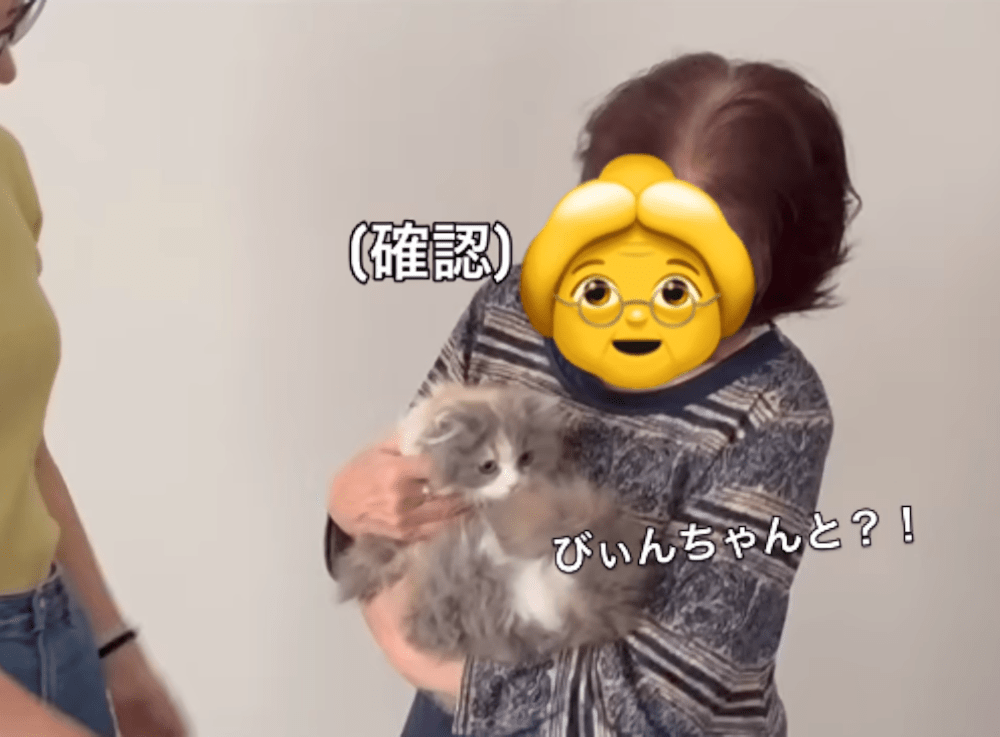 テノンちゃんを嬉しそうに抱っこするおばあちゃん（＠ten_scottish.jpさんより提供）