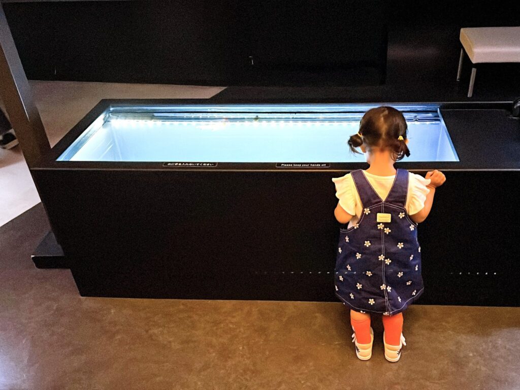 水族館で金魚に釘付けの娘さん③（＠morico_moさんより提供）