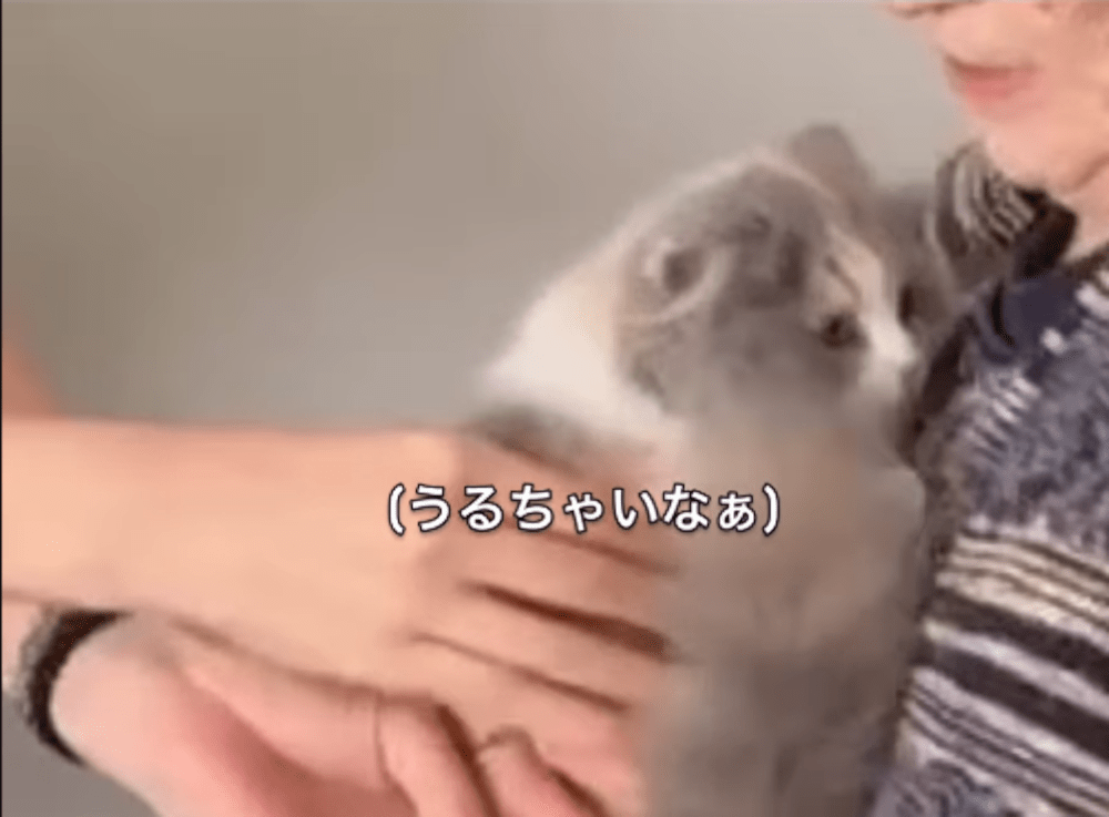 【実際の写真5枚】初対面の様子