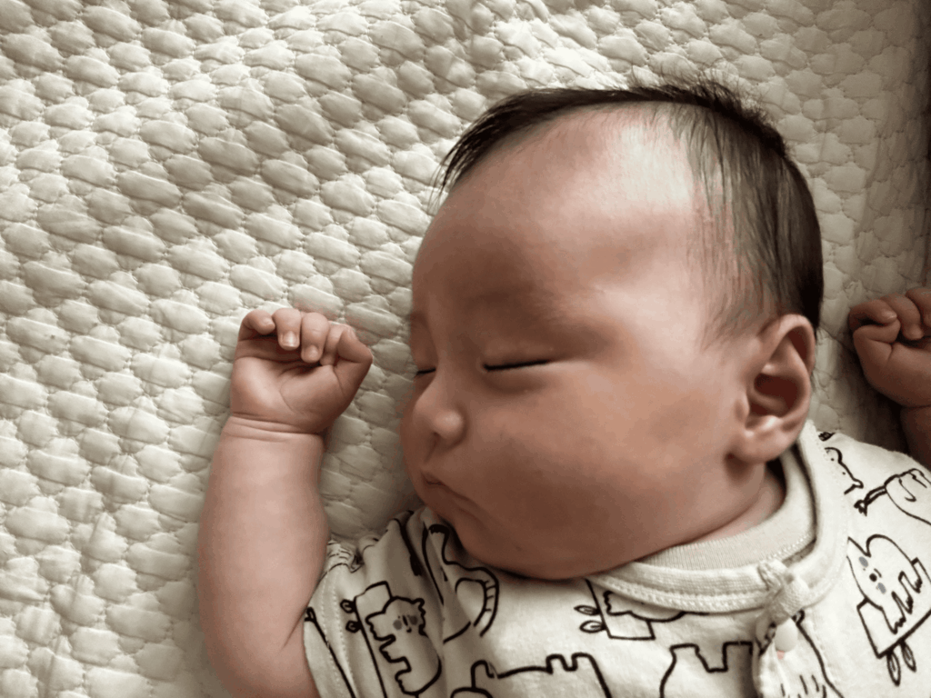 【実際の写真5枚】　ママが見た光景