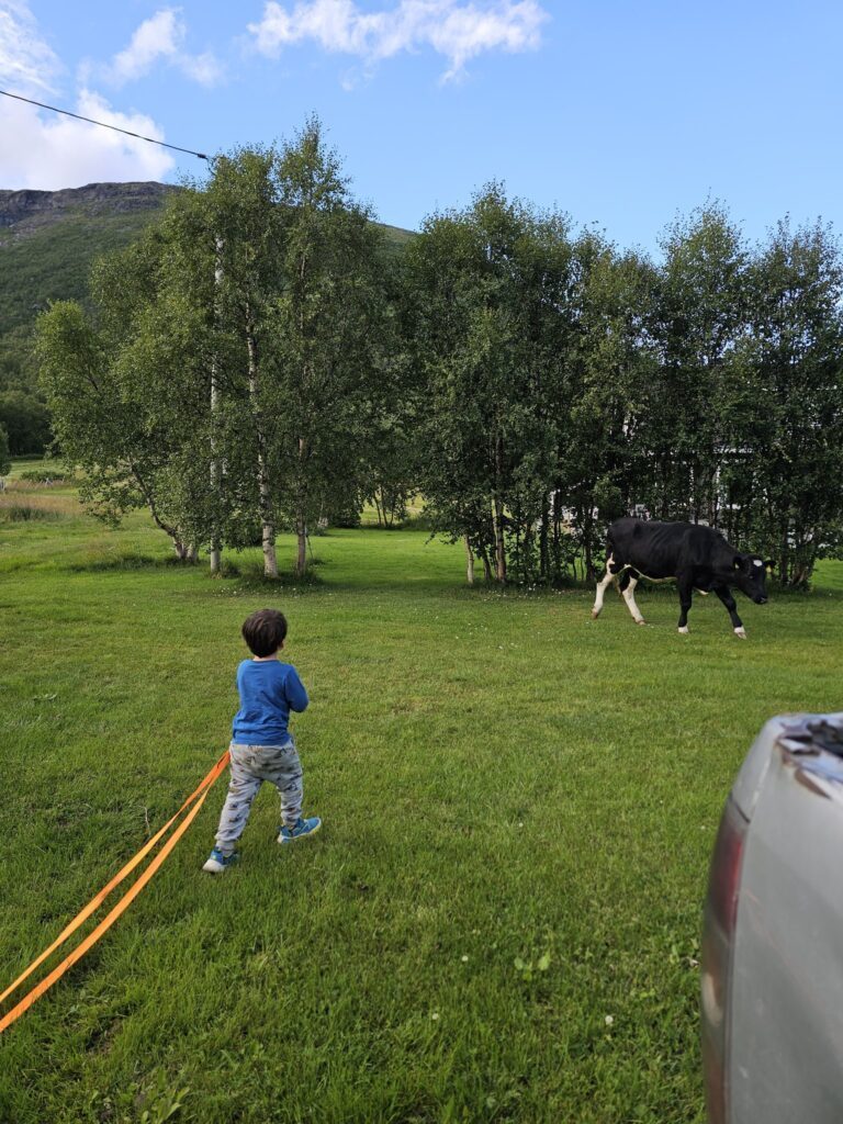 その他の長男くんの写真②（＠WalkingtheNorthさんより提供）