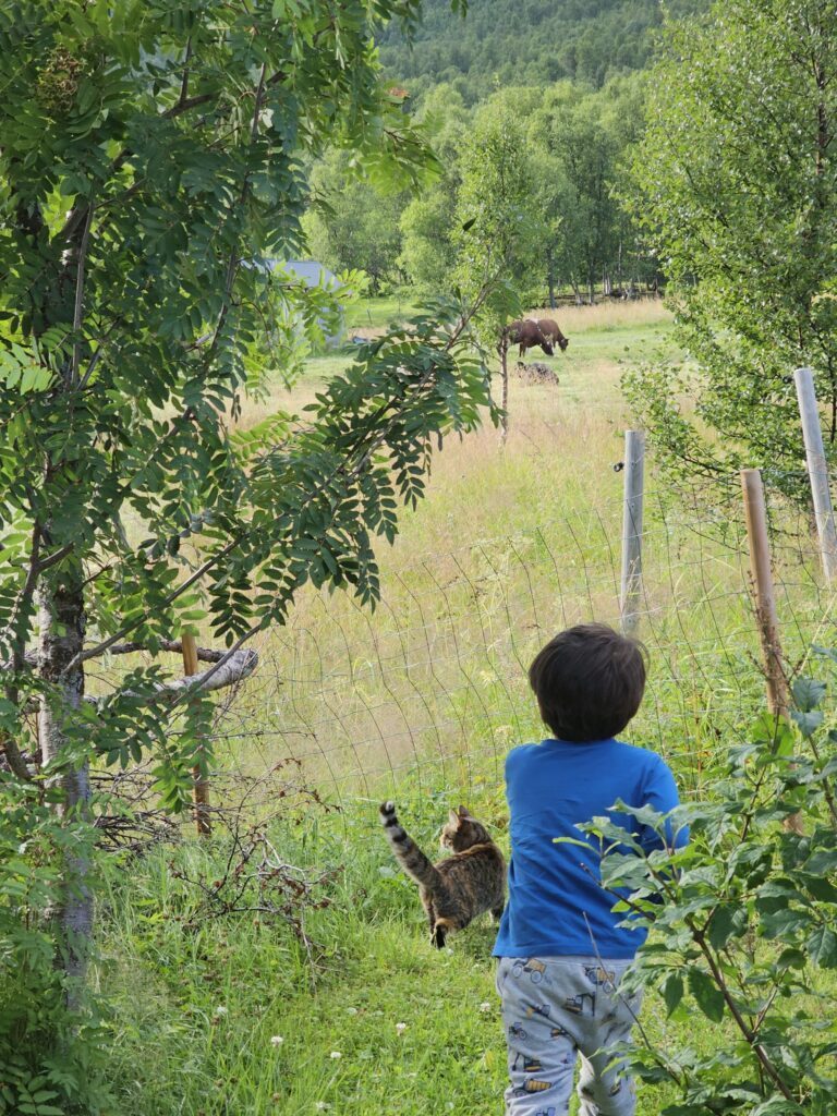 その他の長男くんと猫ちゃんの写真（＠WalkingtheNorthさんより提供）