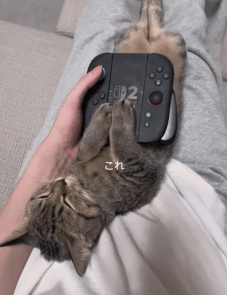 【実際の写真6枚】飼い主さんが見た光景