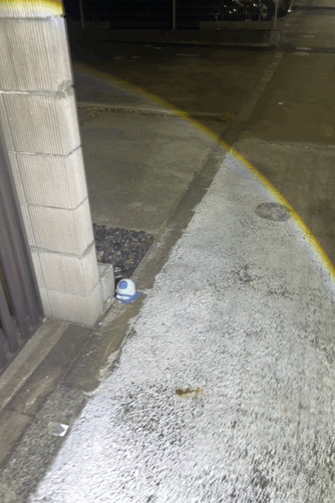 【実際の写真】まさかの結果