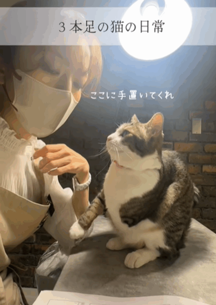 ポッキーくん（＠sayakap2さんより提供）