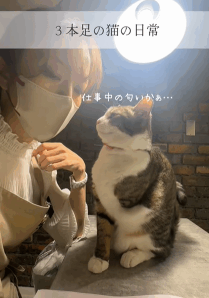 お仕事モードのとき（＠sayakap2さんより提供）