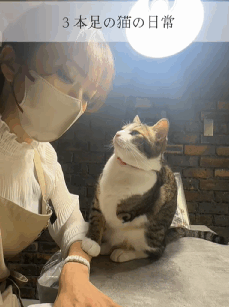 甘えたいけど…（＠sayakap2さんより提供）