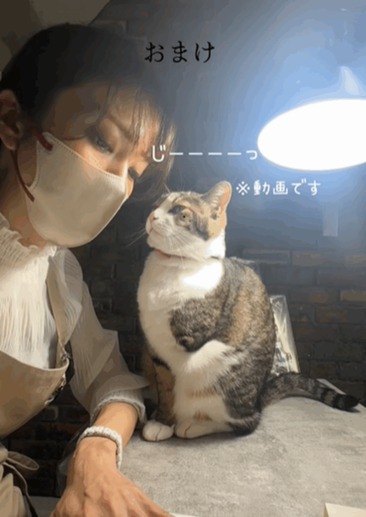 見つめるポッキーくん（＠sayakap2さんより提供）