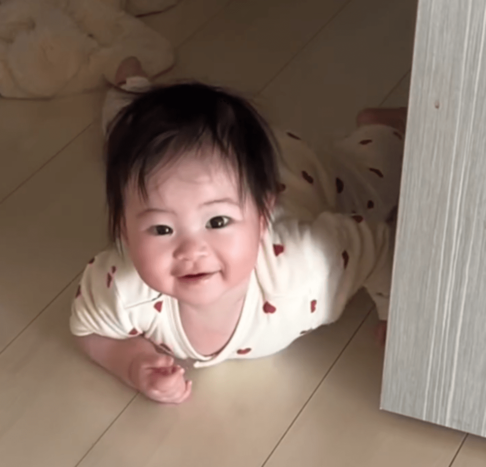 【実際の写真】半年間記録した様子